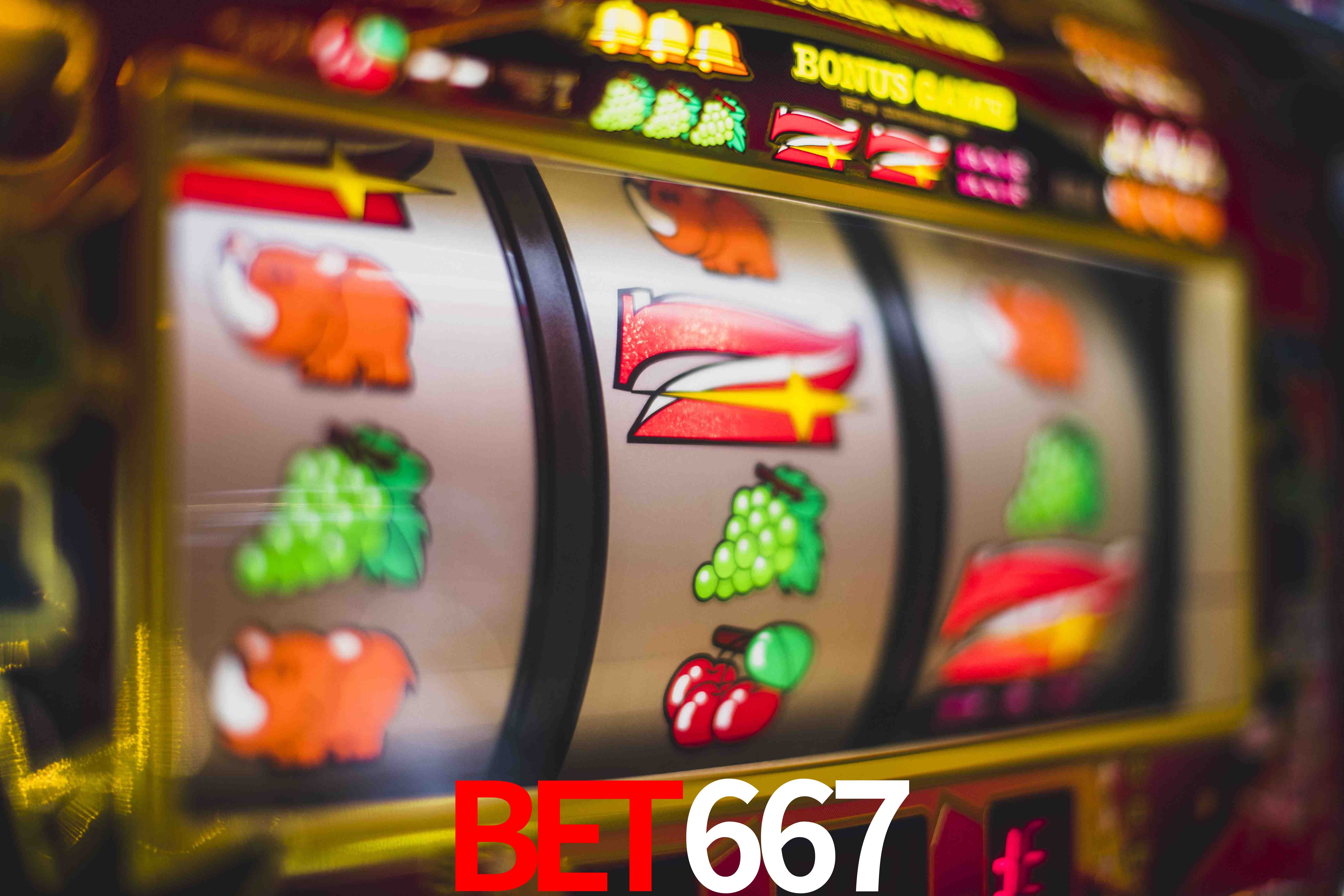 VIP Casino BET667